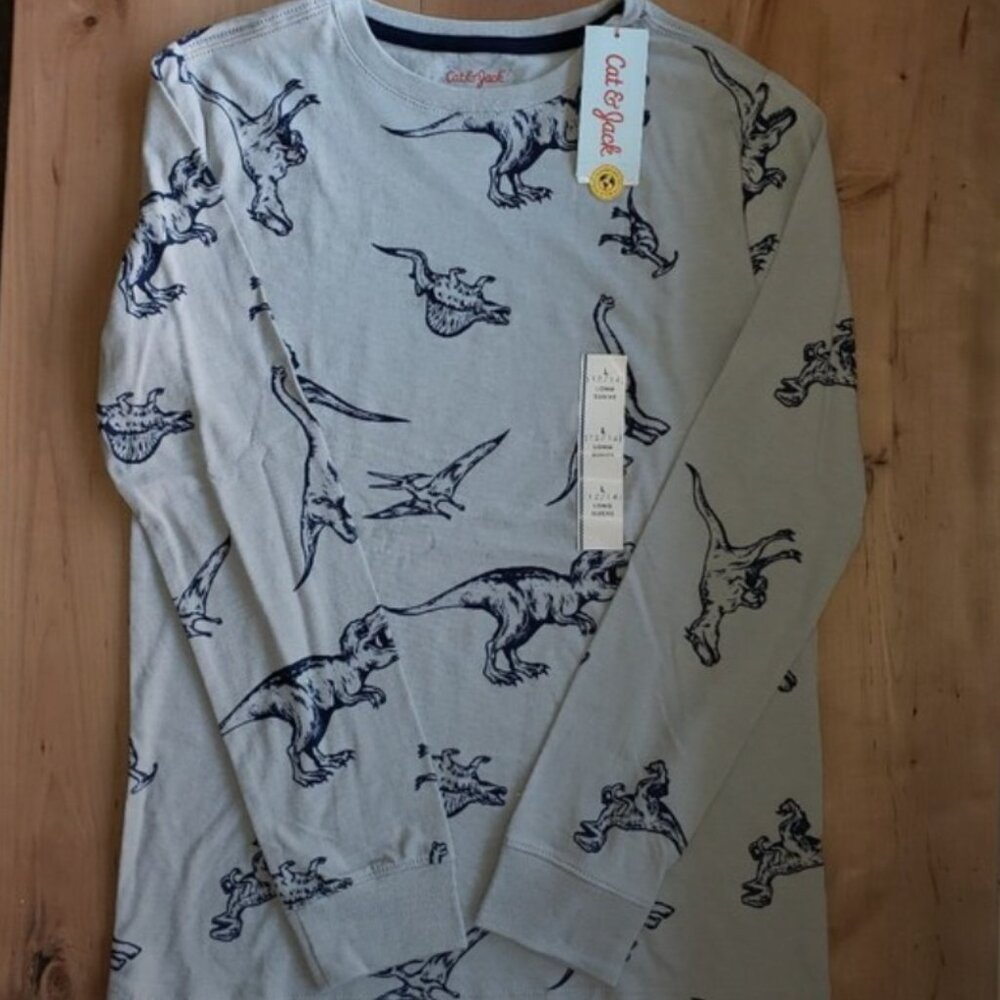 Kids Gray Dinosaur Long Sleeve T-Shirt